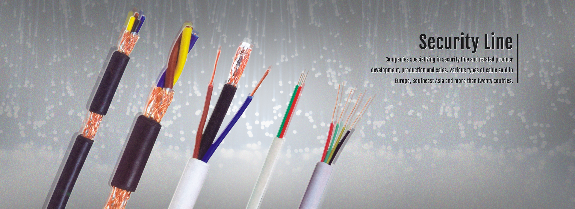 img_Security-Line